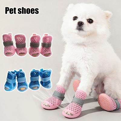 Ropa y calzado – Zapatos para perros