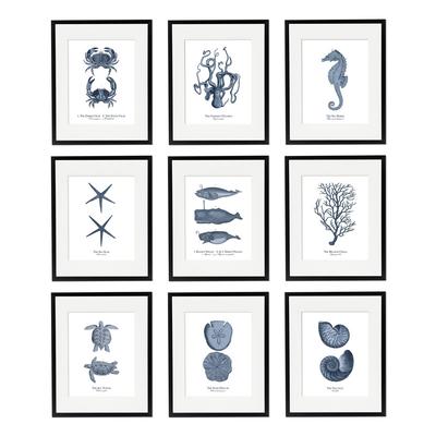 Blue Fossil Octopus Fish Turtle Seahorse Coral Vintage Posters Prints Wall Art Mural Canvas Painting Pictures Living Room Decor