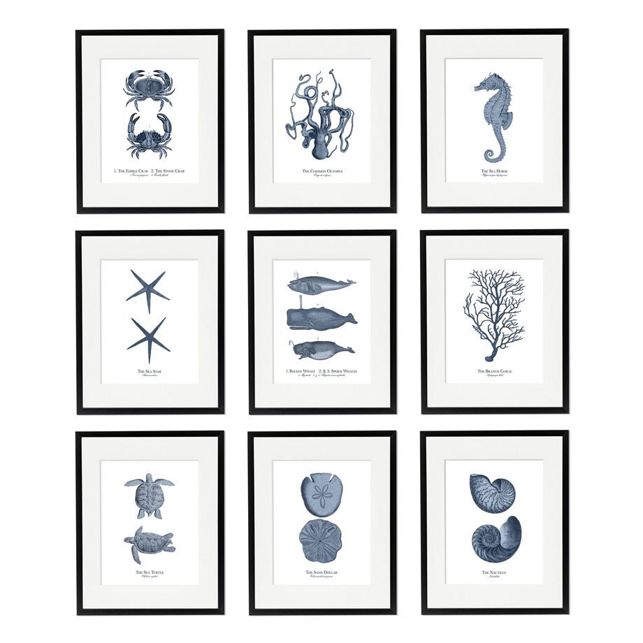 Blue Fossil Octopus Fish Turtle Seahorse Coral Vintage Posters Prints Wall Art Mural Canvas Painting Pictures Living Room Decor