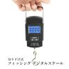 Fishing Digital Fishing Hanging Night Fishing Scale, Scale, Gear, Scale, Weight,