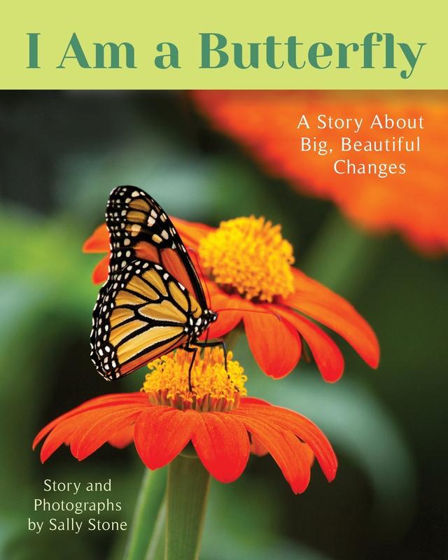 I am a little butterfly