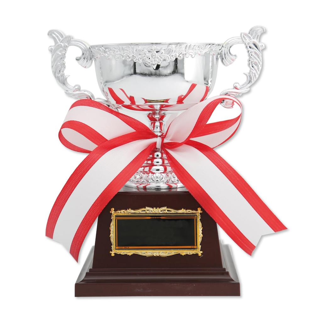 Silver Championship Cup, Metal, with Free Plate Engraving, AS9229, Available in 4 Sizes, Trophy, Award, Prize, Tournament, Souvenir (D Size, 14cm)