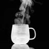Lvchangming Glass Tea Cup with Infuser, Thick Heat-Resistant Tea Separation Cup for Office And Home Use, 520ml