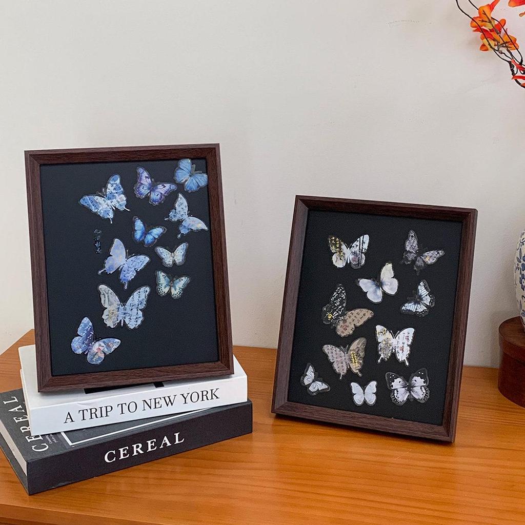 Handmade Butterfly Photo Frame DIY Kit - Specimen Storage & Desktop Display