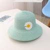 New parent-child sun hat summer straw hat large brim children's sun bucket hat basin hat bag set
