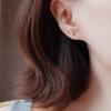 Beixi Silver 2.5mm Mini Zircon Women's Candy Color Stud Earrings - Elegant, Simple, and Comfortable for Summer