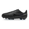 Slip Resistant Abrasion Resistant Low Top Kids' Soccer Shoes Black Kids' DA1333-001