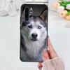 Animal Husky puppy Case For Huawei Nova 11i 8i 7i 3i Y70 Y90 Y60 Y61 5T 9 10 SE P Smart Z P30 P40 Lite P60 Pro