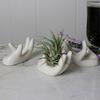 3Pcs Air Plant Holder Ceramics Airplants Holder Small Container Pots Hand Shape