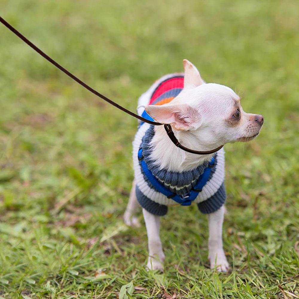 0.6*150cm Soft and Slim Thin Real Leather Slip Leads Dog Training Leashes for Small Medium Puppy Leather Slip Chain Collar Leash