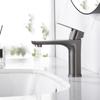 Bathroom Faucets for Sink Lavatory Faucet 304 Stainless Steel Single Hole Single Handle, Gun Gray