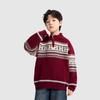 Jungen Fair Isle Strick Polo Pullover