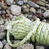 50m Glow In the Dark Luminous Reflective Tent Rope Line Camping Cord