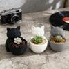 Creatieve Hars Desktop Bloempot Voor Thuis Tuinieren Succulenten Balkon