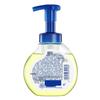Safeguard Gentle Anti-bacterial Foaming Hand Wash