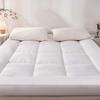 WTEMPO Farblich abgesetzte faltbare weiche Matratze Dicke Daunen-Baumwolle Weiche Hotelmatratze Wohnheim Hohe Qualität Beidseitig Vier Jahreszeiten Verfügbare Matratze