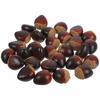 30 Pcs Foam Chestnut Artificial Nuts Decorations Fake Food Prop Nut Model Display Easy Clean Lightweight Portable