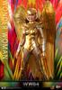 Hot Toys Woman Scale Figure Wonder Woman Armor Accessories [Movie Masterpiece] "Wonder 1984" 1/6 (Gold Version) [Bonus Included]