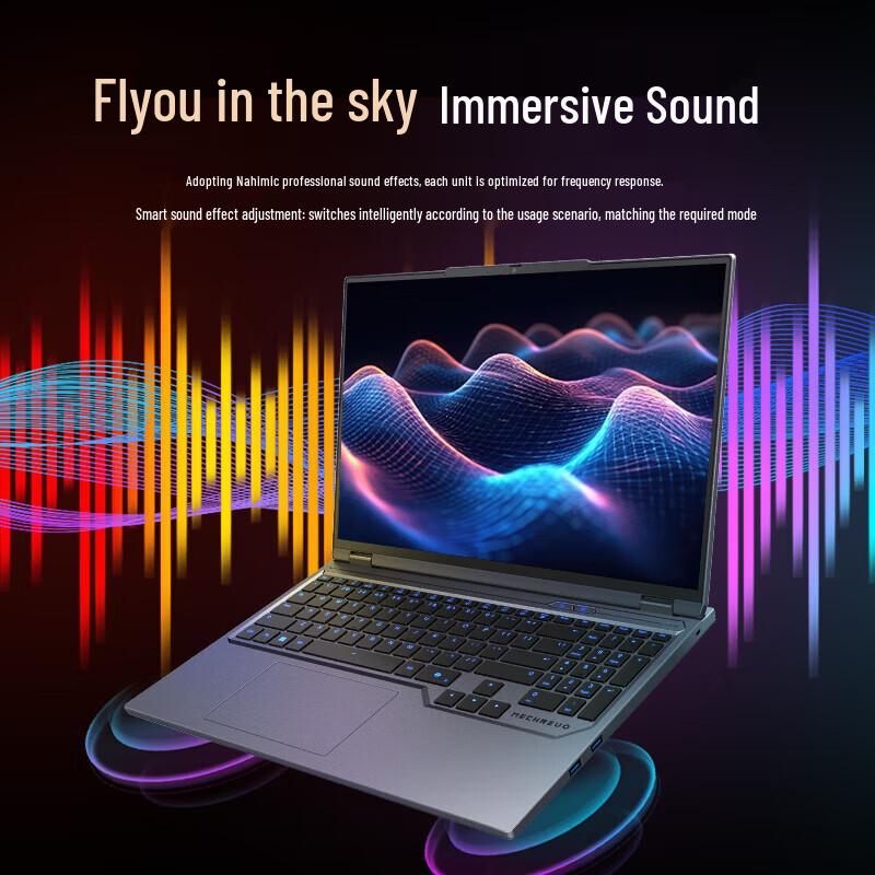Mechanic Revolution Jiaolong 16 Pro Gaming Laptop (CN version)
