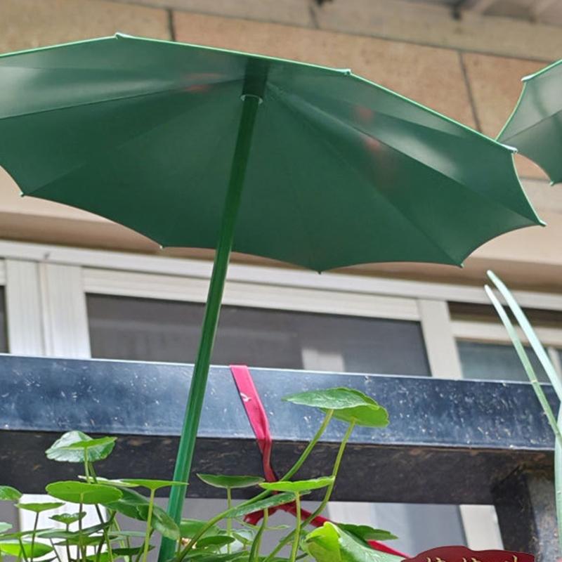 Protectori colorați pentru plante Huse decorative pentru plante Umbrelă creativă pentru plante suculente Umbrelă pentru suculente și flori mici