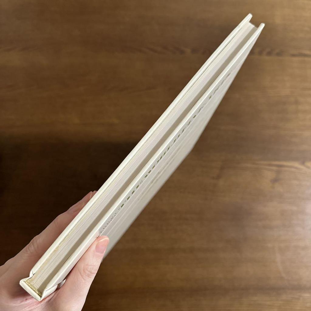 [USED] Renoir Degas World Art Collection 12 Art Book with Explanations