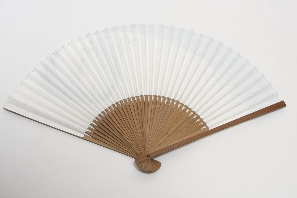 Faltbarer Kyoto-Handwerker mit Fächer in Papierbox [Hasegawa] Herrenfächer, Gefertigt, Etui, (Karpfen Design)