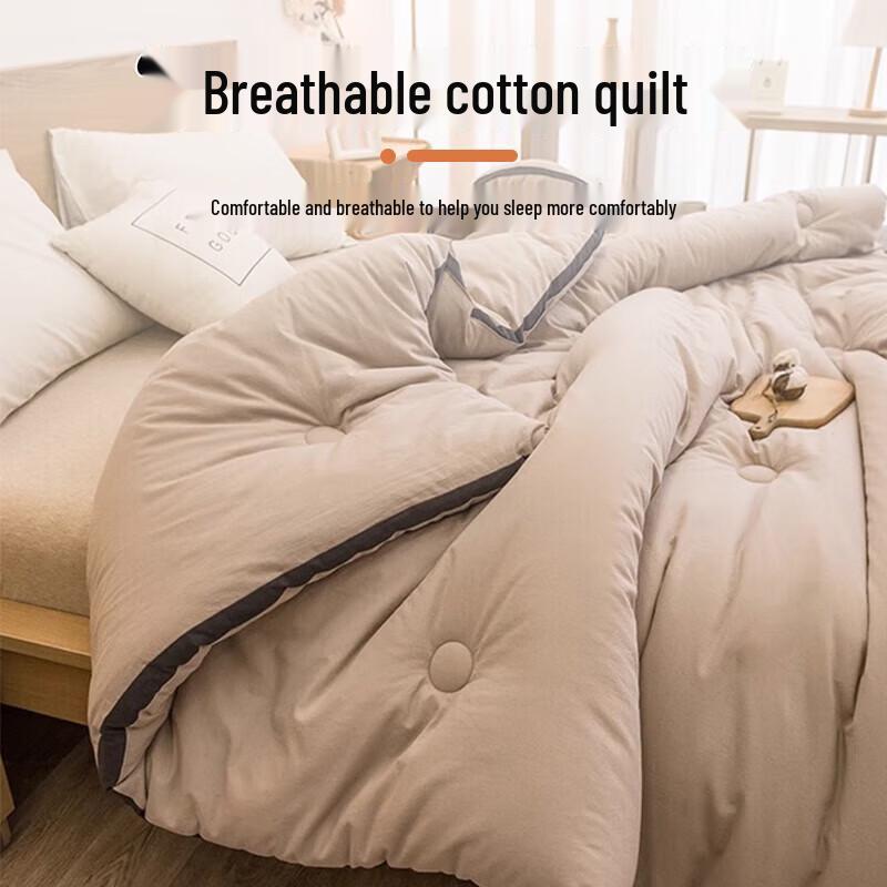 Muji 100% Xinjiang Cotton Winter Quilt