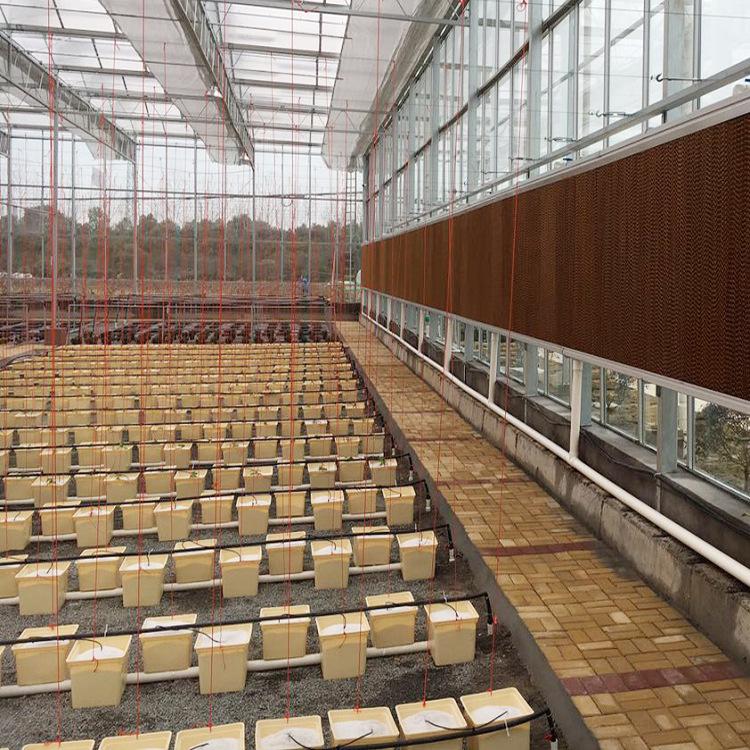 Dutch Bucket Hydroponic Planter for Vegetables, Fruits, and Flowers