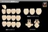 Kotobukiya Megami Device 06 Face Set for Priest Skin Color A Height 19mm scale plastic model M.S.G Emperor's approx. 1/1