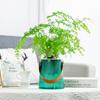 Hydroponic Flowers Vase Water Absorbing Plastic Flowerpot Desktop Ornament Leather Handle Self-watering Flowerpot Decoration