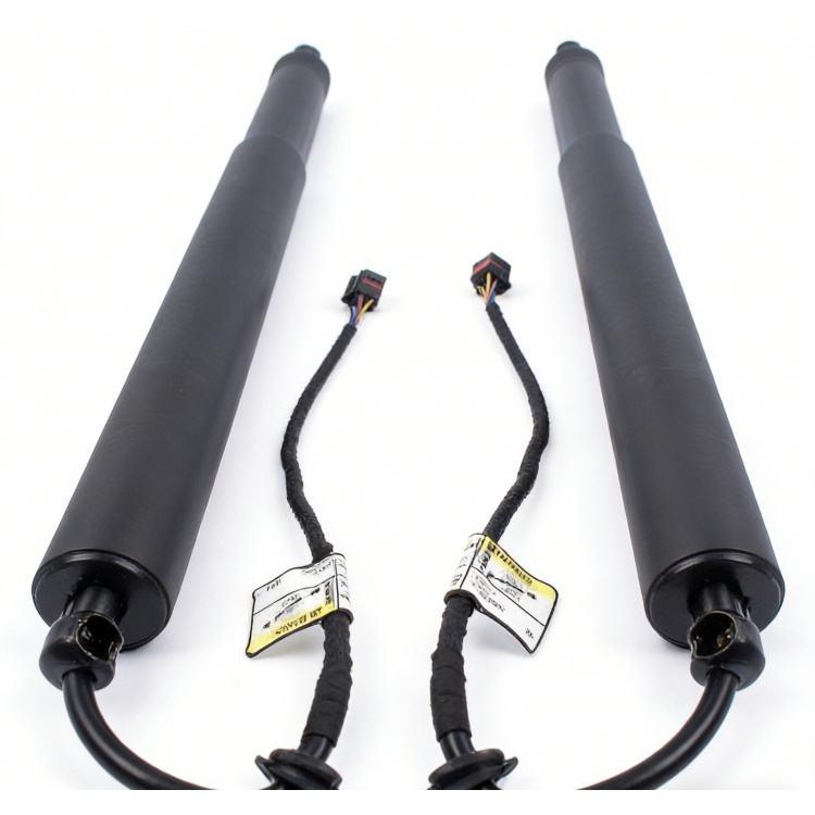 

Premium Tailgate Strut for Modern Tucson 81780-D3100
