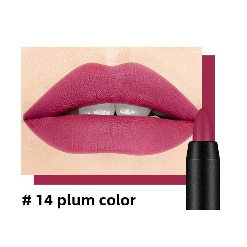 Matte Rotating Lipstick Pen 19 Shades, Moisturizing Easy To Color