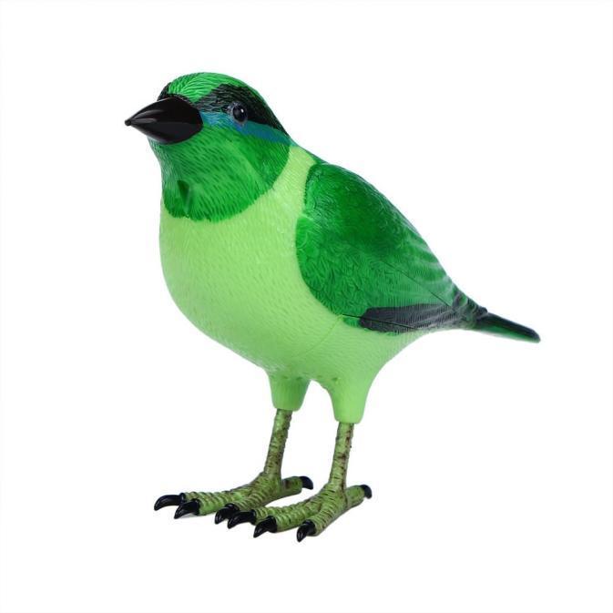 wireless bird