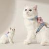 Cat Leash Anti Stripping Outgoing Special Cat Walking Vest Type Chest Strap Small Dog Dog Anti Running Cat Leash Outdoor Walking