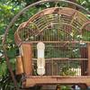 Automatic Bird Waterer Feeder for Cage Plastic Safe Sturdy Compact Lightweight Water Dispenser for Parrots Lovebirds