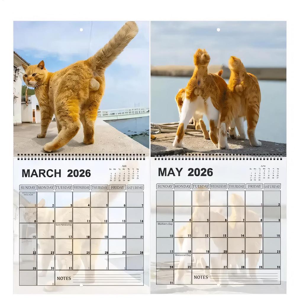 Cat 12 Monthly Wall Calendar 2026 Cat Butt Calendar Funny Cat Tail Wall Calendar Scheduling Tool Family Planner Organizer