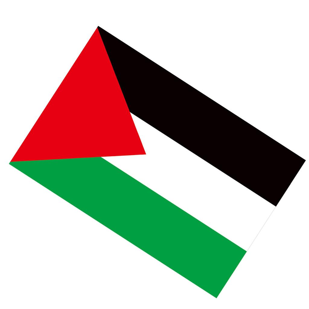 Palestine Flag with 2 Brass Grommets Vivid Color Polyester Double Stitched Colorfast Country Flag