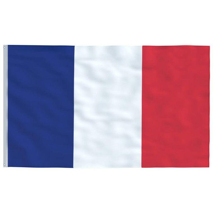 VidaXL Drapeau de la France et mât 6,23 m Aluminium 3147093