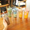 Double Layer Straw Milk Tea Cup With Lid, Portable Water Cup, Fruit Tea Cup, Small Creative Plastic Cup For Summer, Water Bottle