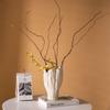 For Ceramic Vase Irregular Folded Paths Abstract Ceramic Crafts Flower Vase Flower Arrangement Accessories Home Decoration