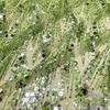 High Quality Mesh Beaded Sequin Fabric African Nigerian Sequin Embroidered French Tulle Fabric for Wedding Dress Fashion Party