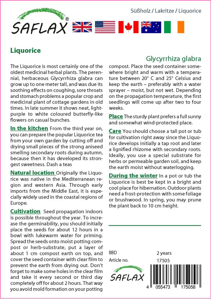 SAFLAX Lékořice - 30 semen - Se substrátem pro lepší pěstování - Glycyrrhiza glabra