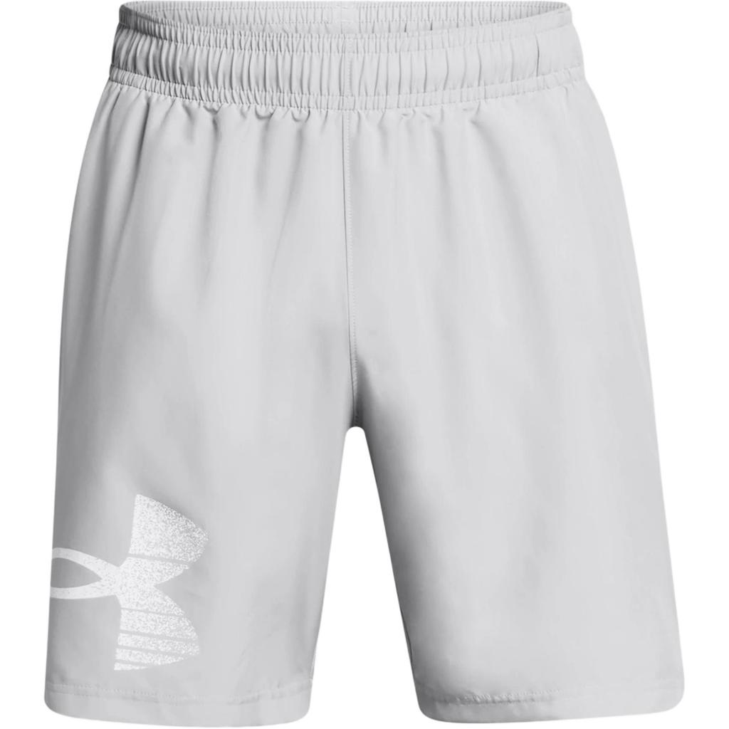 Under Armour Woven Series UA Tech Graphic Shorts Men Shorts Gray 1377139-011