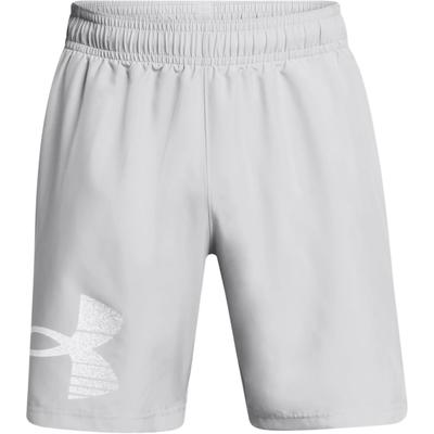 Woven Series UA Tech Graphic Shorts Herren Shorts Grau 1377139-011