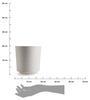 Aloe Texelle Flowerpot Cream H20X19.5