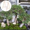TOYANDONA Mobili in Miniatura per Casa delle Bambole Sedia a Dondolo Modello a Dondolo in PLA Accessorio Gioco Interattivo Decorazione Cortile Casa delle Bambole Il Mio