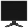 EIZO S2134 21.3-inch 4:3 Industrial Display CN Plug (adapter Included)