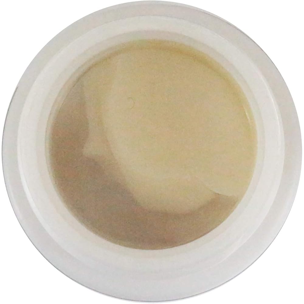 SHIMANO (SHIMANO) genuine service grease SHIP 03307DG06