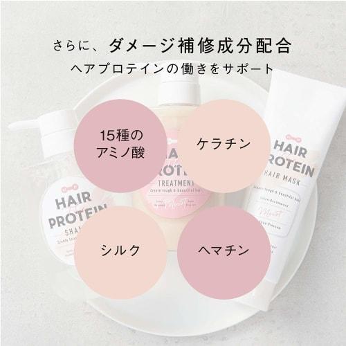 Hair the Protein Shampoo Treatment Hair Care Set 460mL & 460mL [Protein and Amino Acid Combination]
