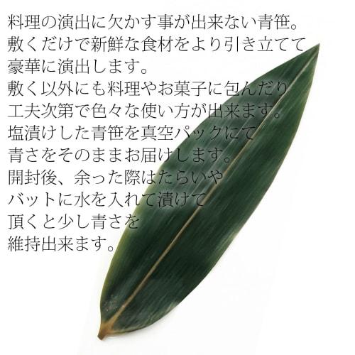 Shindo Fresh Green Bamboo, 100 count, Green, SS 16850